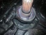 20170305_181644.jpg